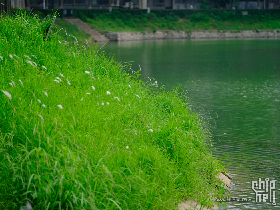 DSCF6412.jpg