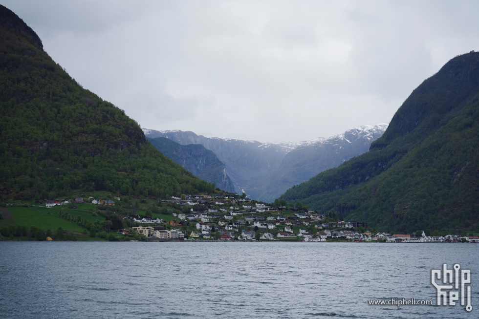 IMG_8556.jpg