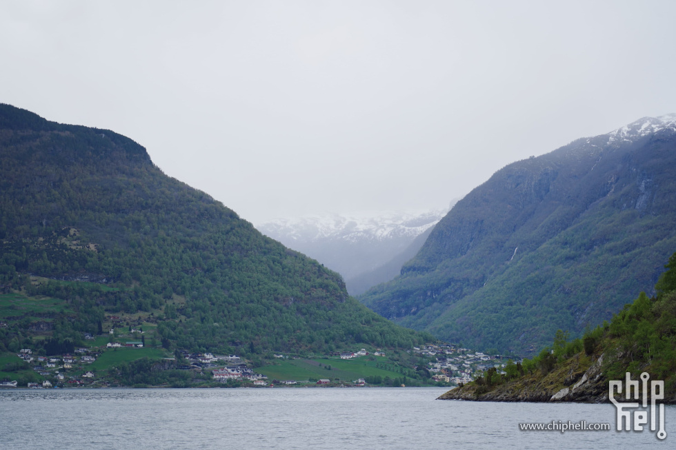 IMG_8557.jpg