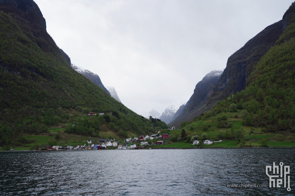 IMG_8559.jpg