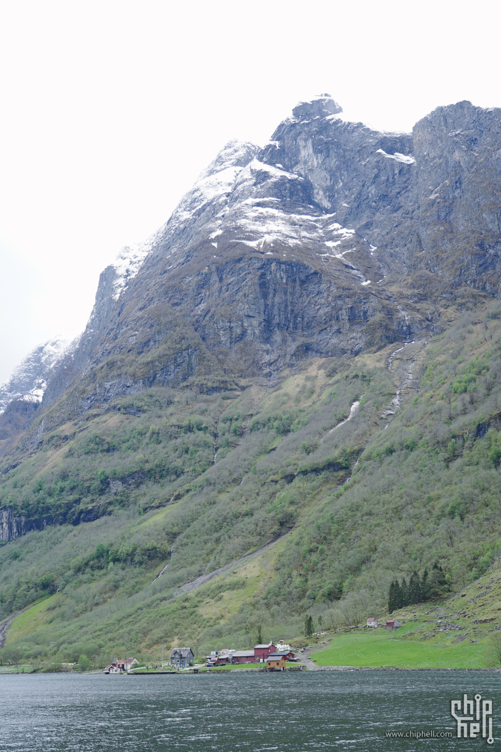 IMG_8565.jpg