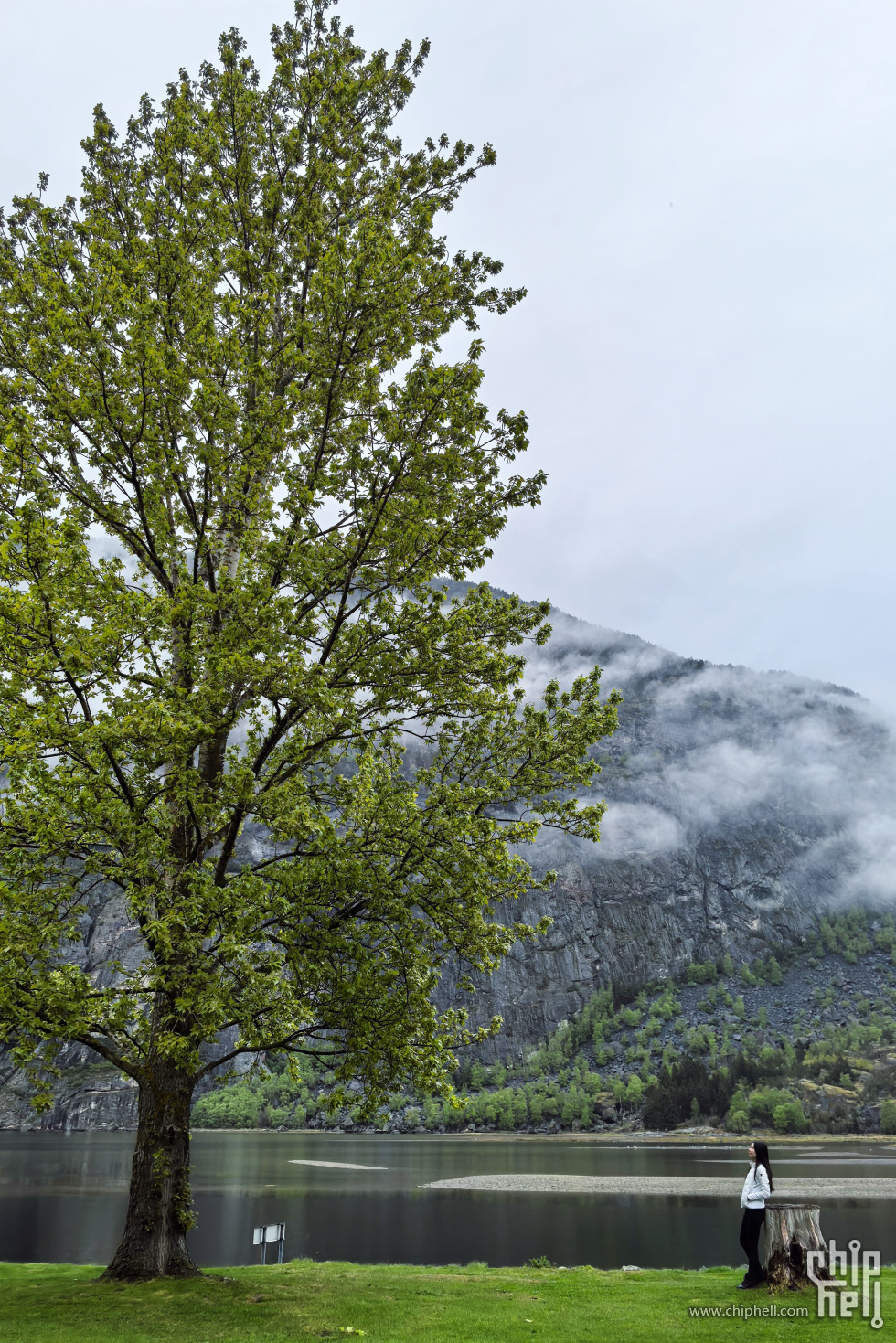 IMG_7724.jpg
