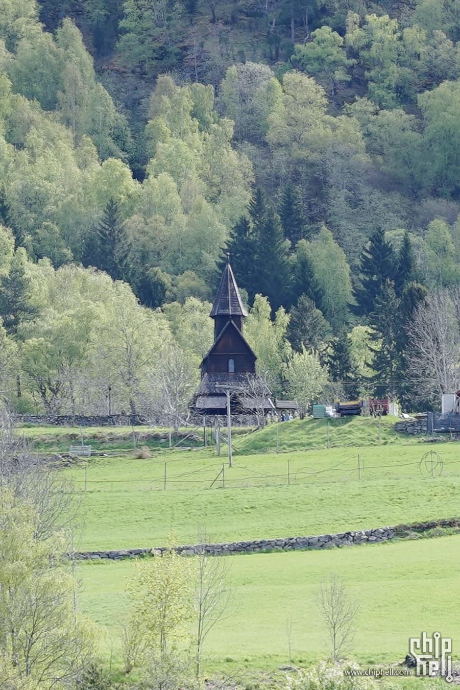 IMG_8650.jpg