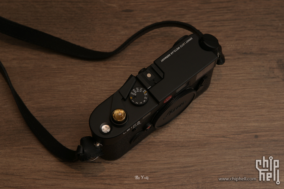 ZF1_9862.jpg