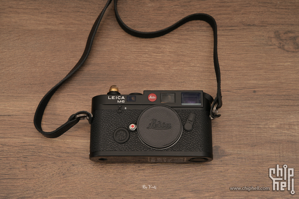 ZF1_9864.jpg