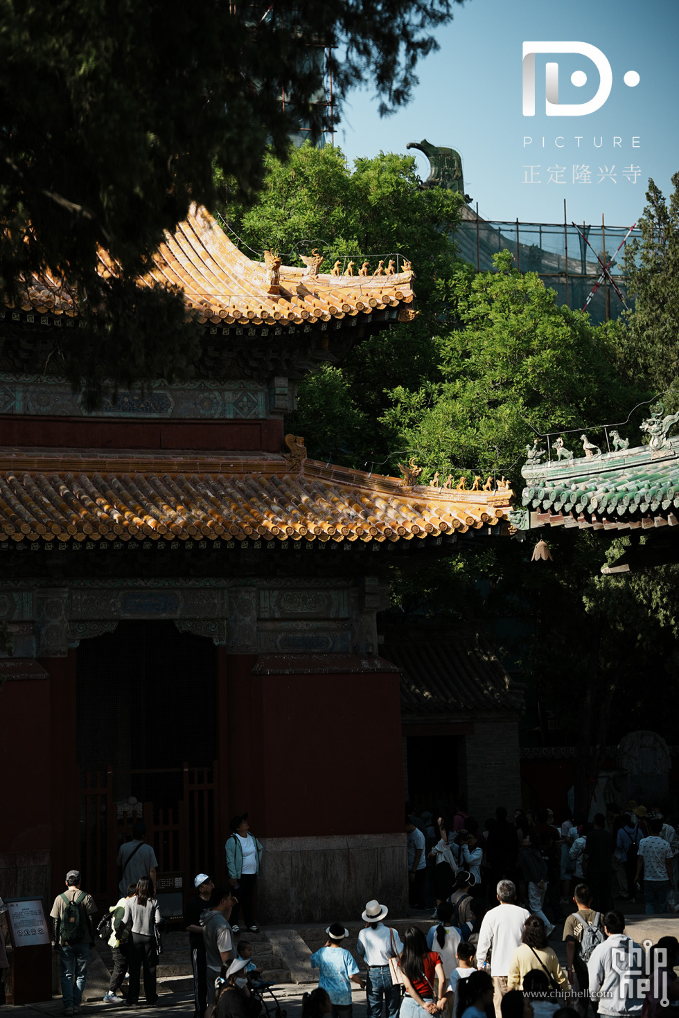 隆兴寺 (62).JPG