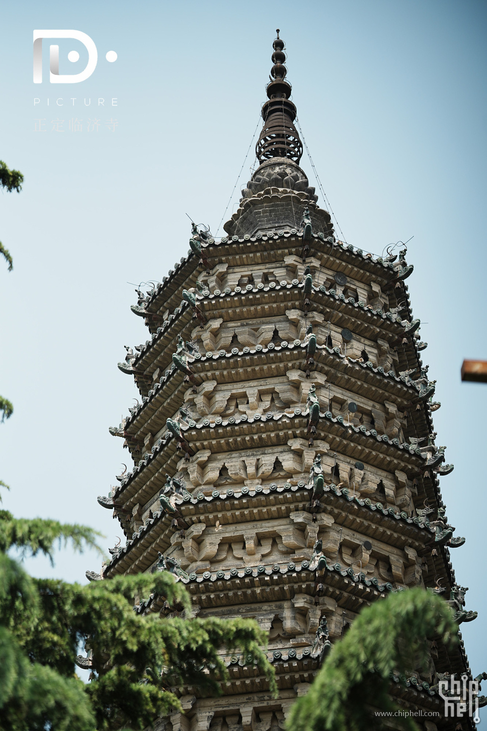 临济寺 (2).JPG