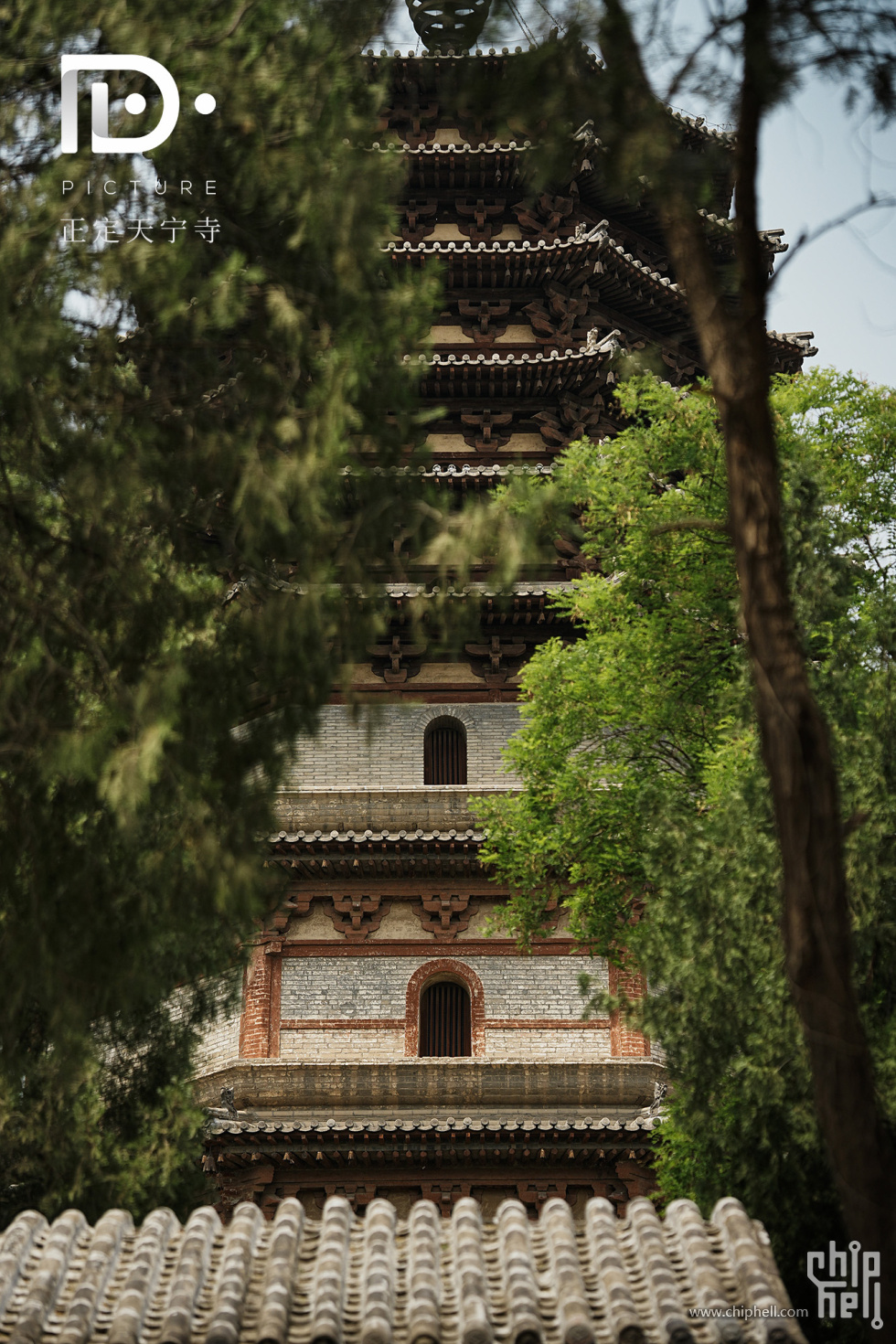 天宁寺 (4).JPG