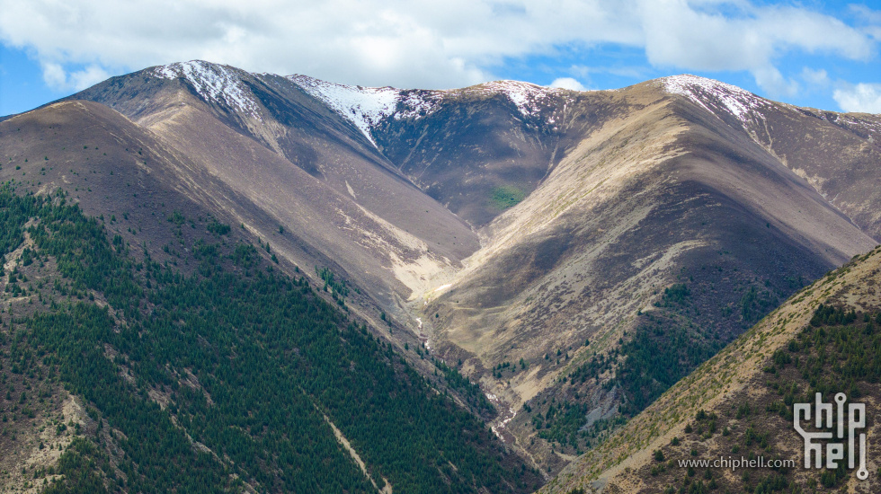 DJI_20250513111722_0024_D-1.jpg
