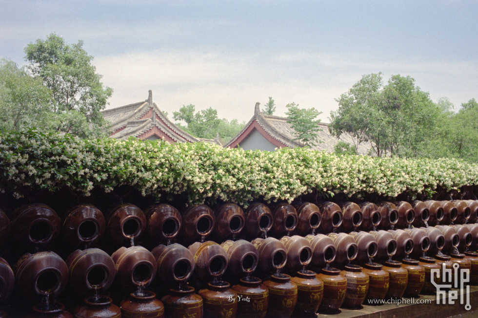 11892-5294-9.jpg