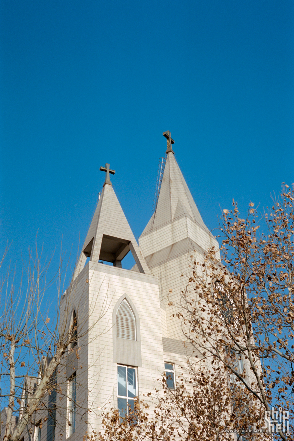 B0019322.jpg
