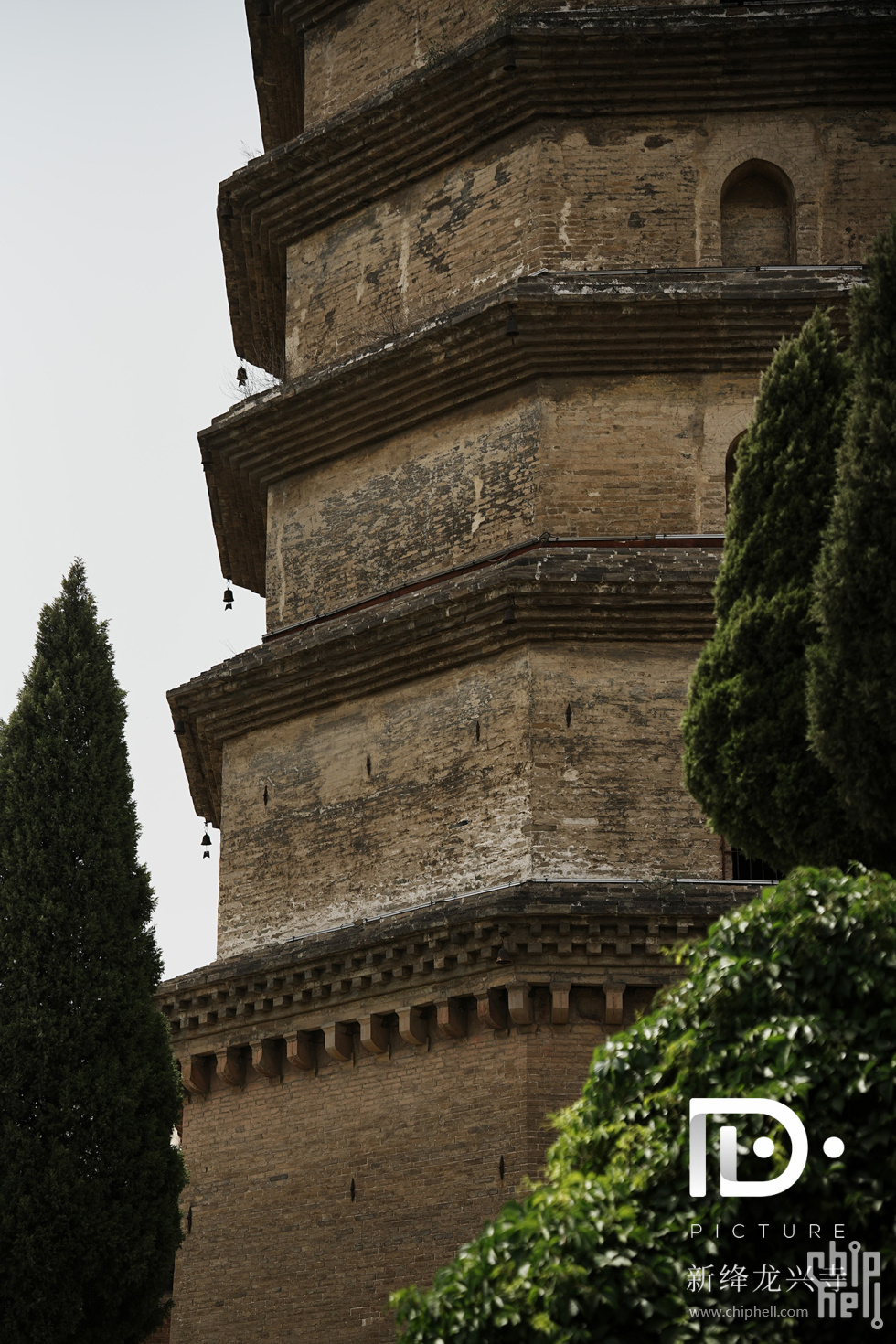 龙兴寺 (63).JPG