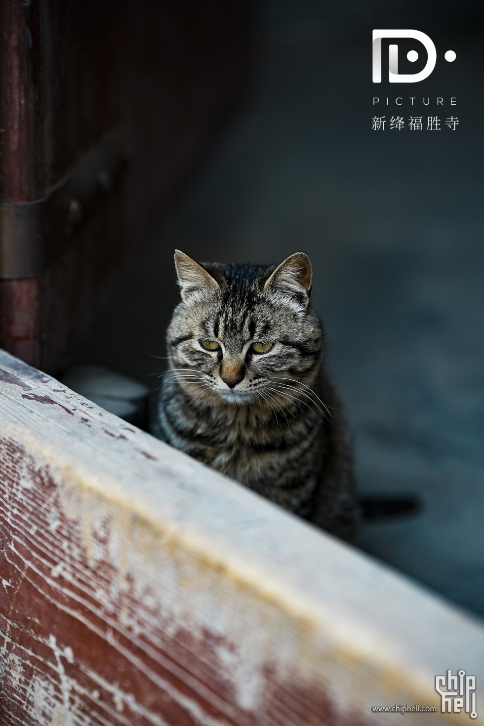 福胜寺 (4).JPG