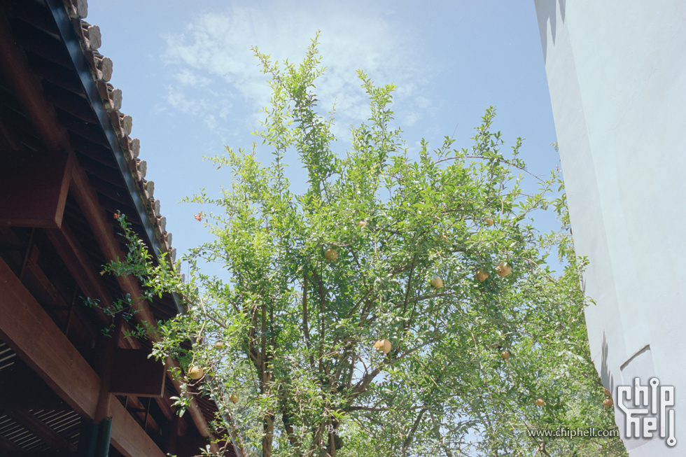 11674长沙-5203-35.jpg
