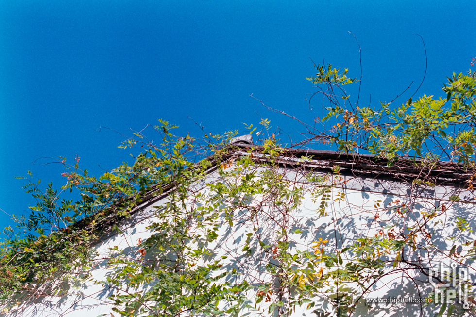 m6 新50.4-5207-14.jpg