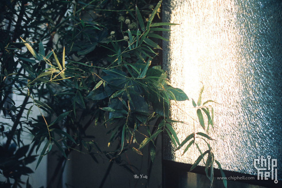 徕卡m6-11675-rdp3-24.jpg