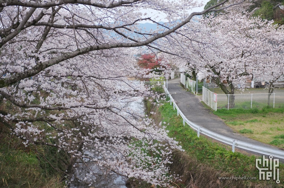DSCF6999.JPG