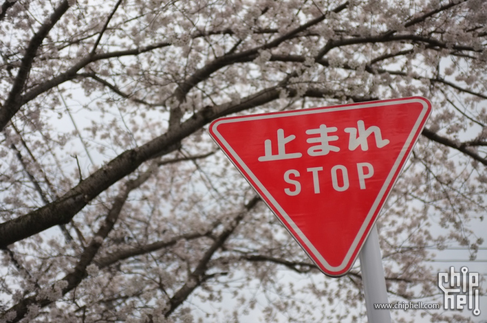 DSCF7006.JPG