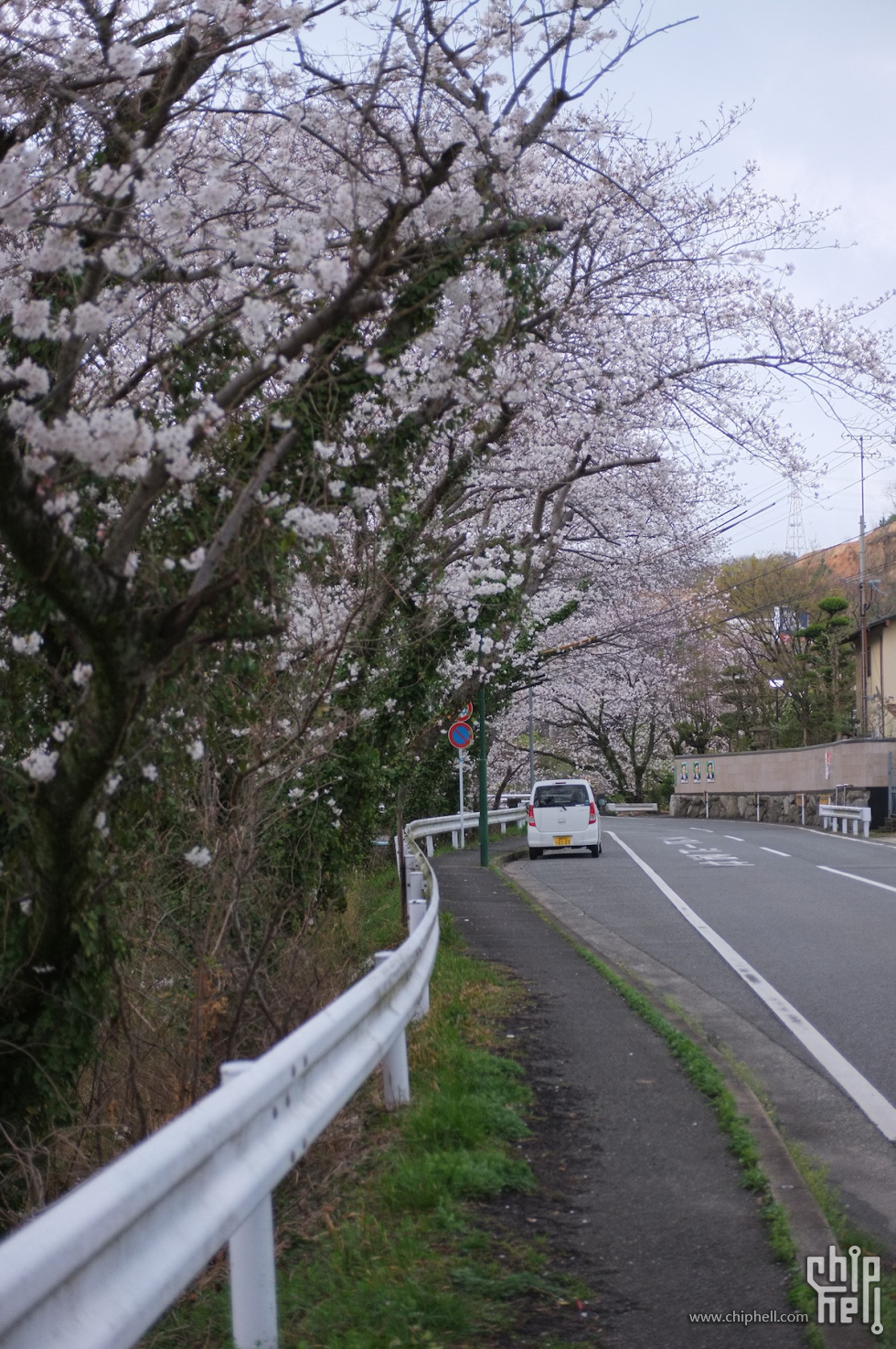 DSCF7013.JPG