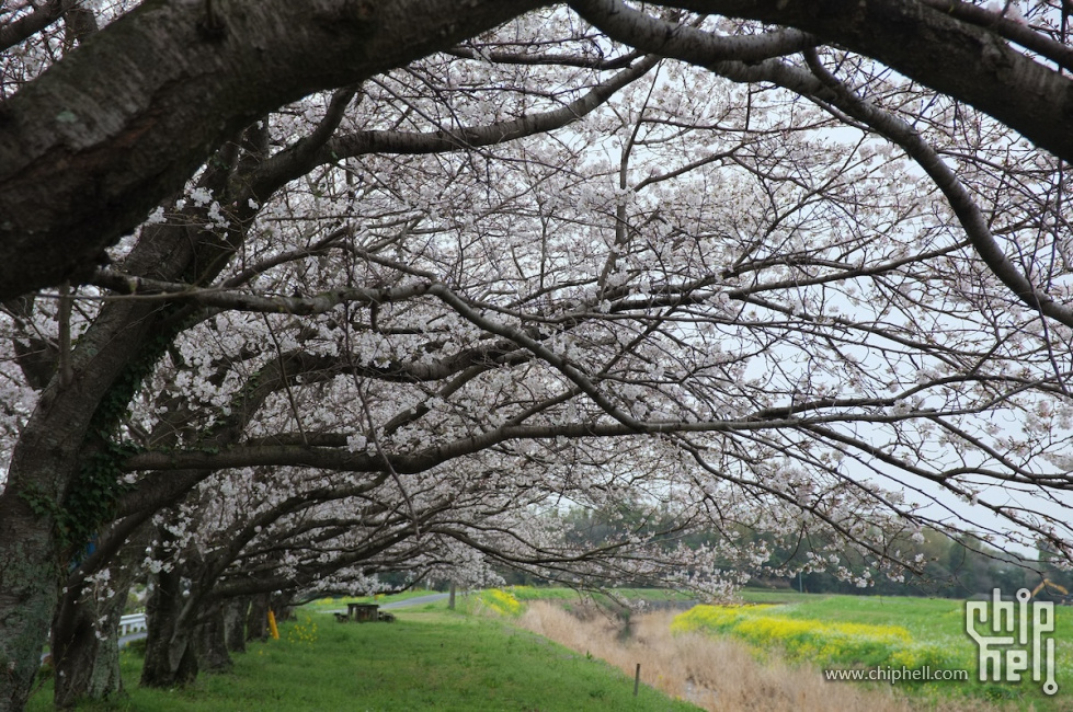 DSCF7029.JPG