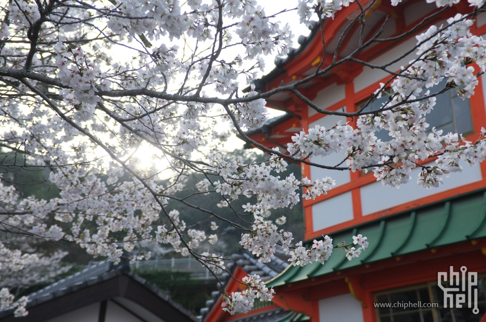 DSCF7113.JPG