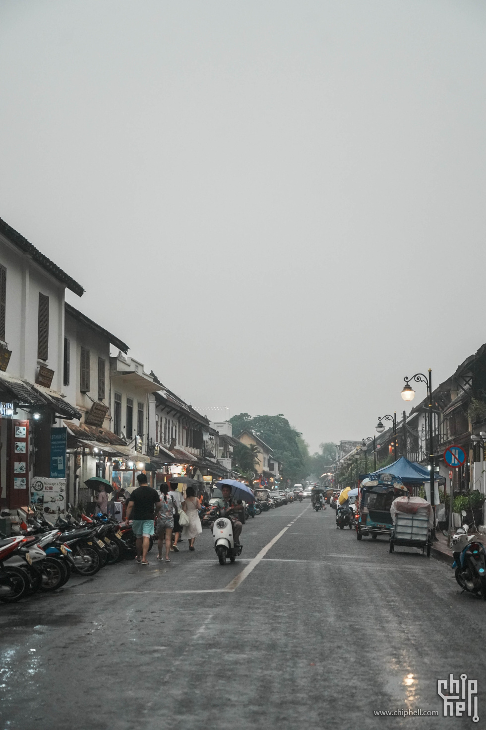DSC06995.jpg