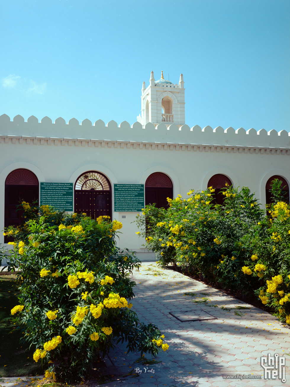 B0026002.jpg