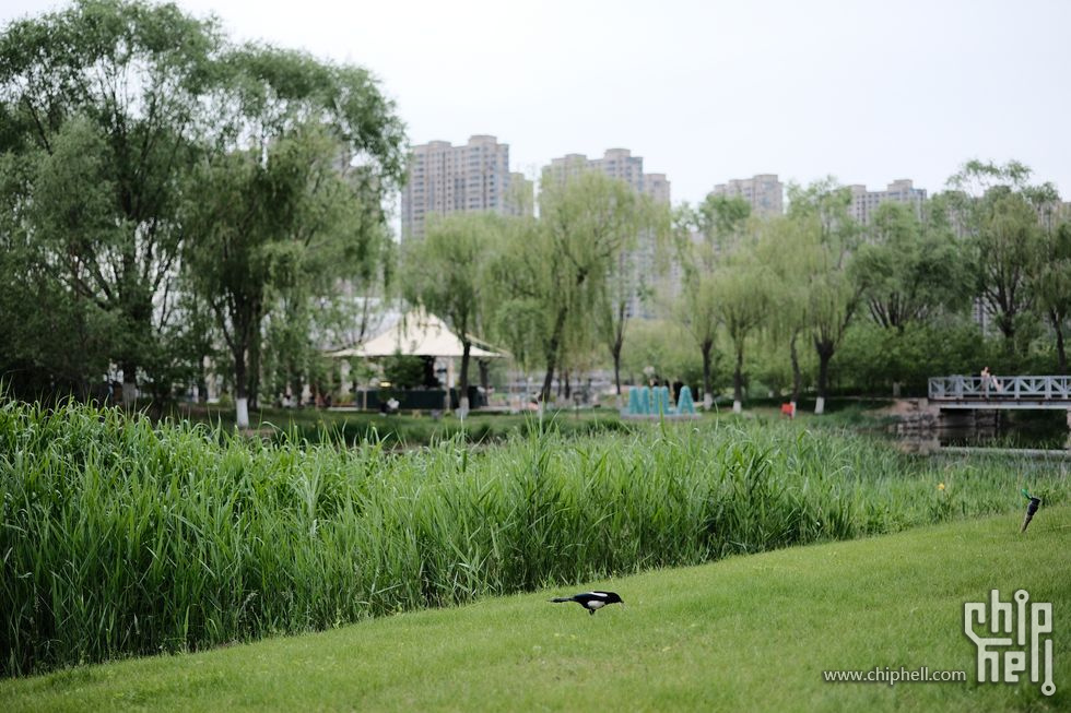 微信图片_20250523101204_结果.jpg