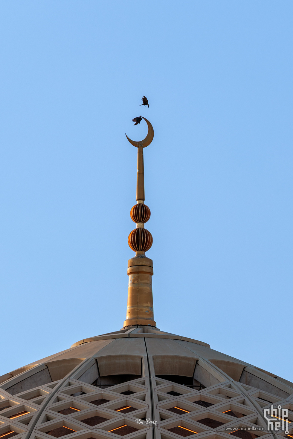 R1_L5610.jpg