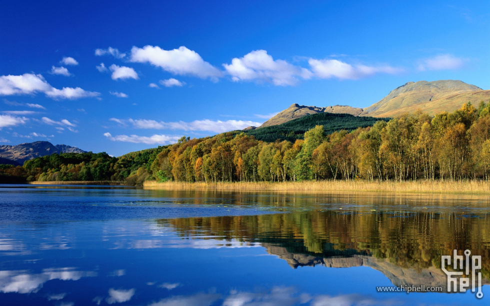 View to Ben Lomond.jpg