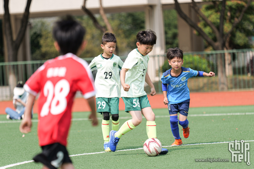 P1929959.jpg