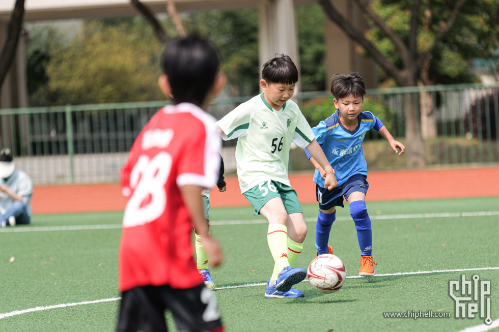P1929960.jpg