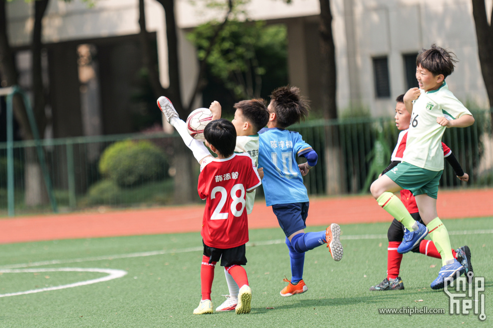 P1929961.jpg