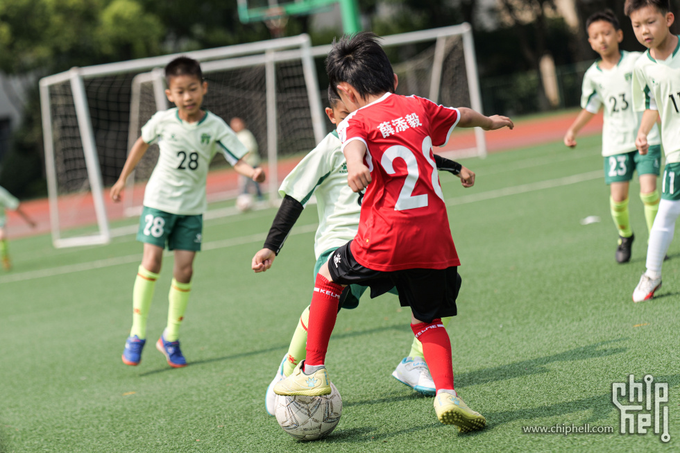 P1929975.jpg