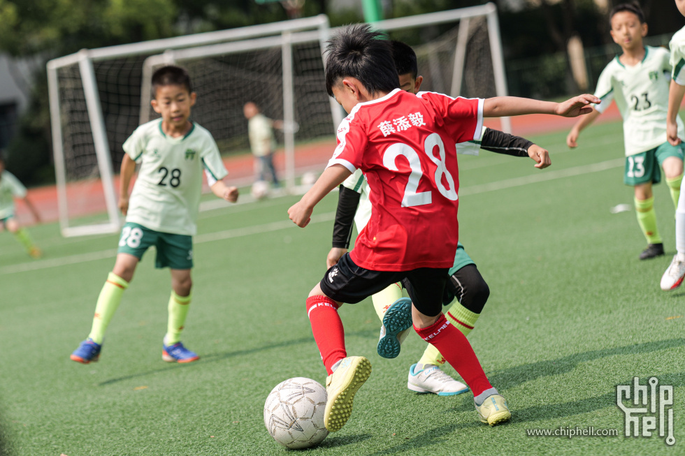 P1929976.jpg