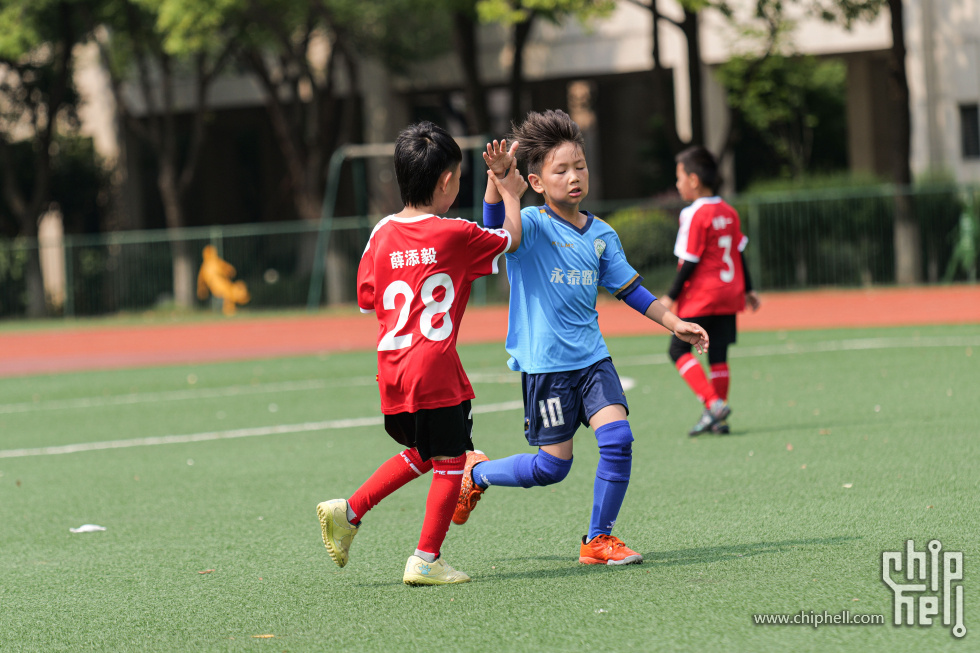 P1929977.jpg