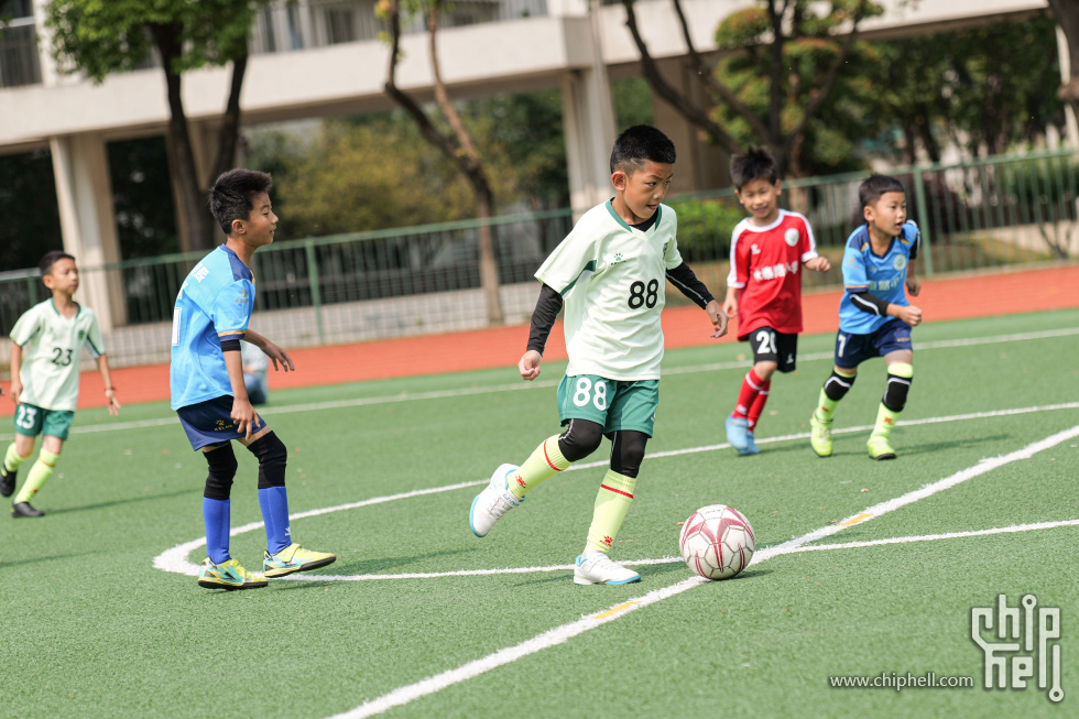 P1929983.jpg