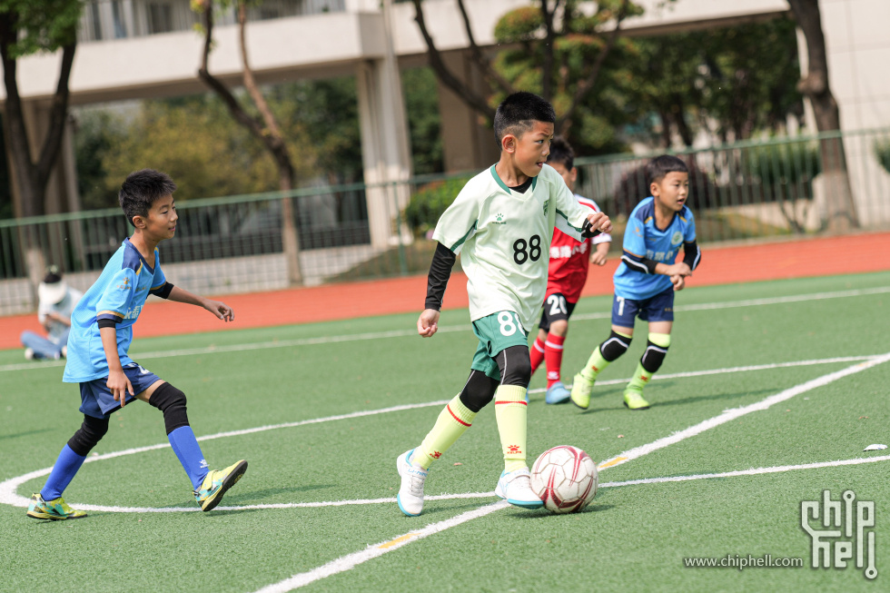 P1929984.jpg