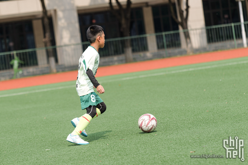 P1929985.jpg