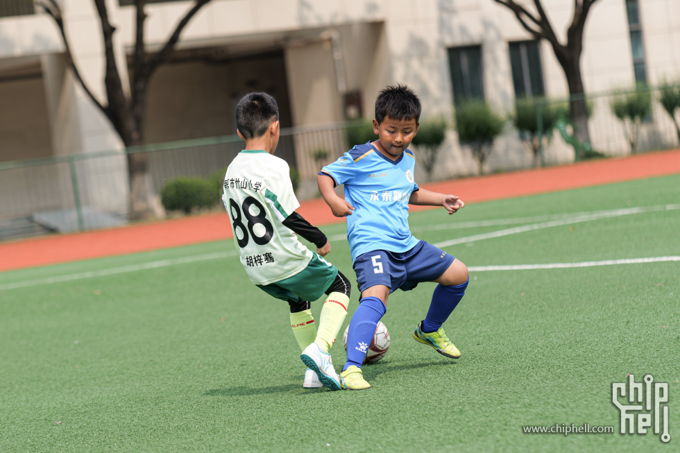 P1929987.jpg
