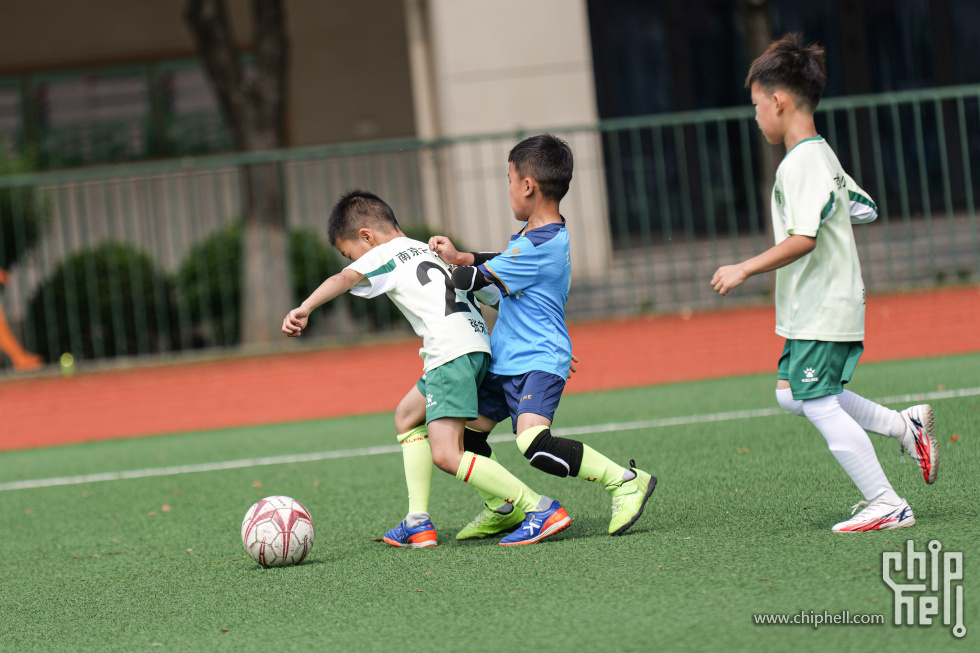 P1940007.jpg