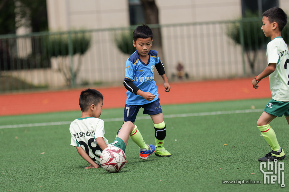 P1940035.jpg