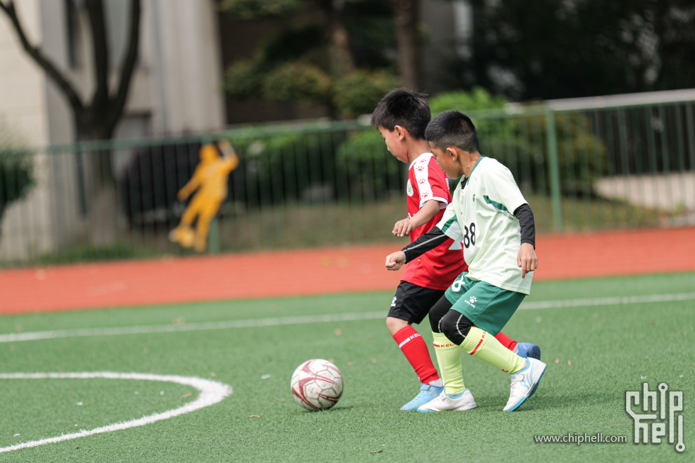 P1940040.jpg