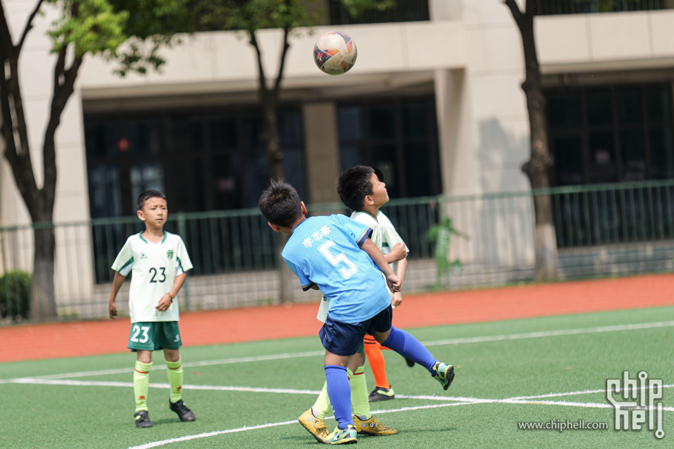 P1940241.jpg