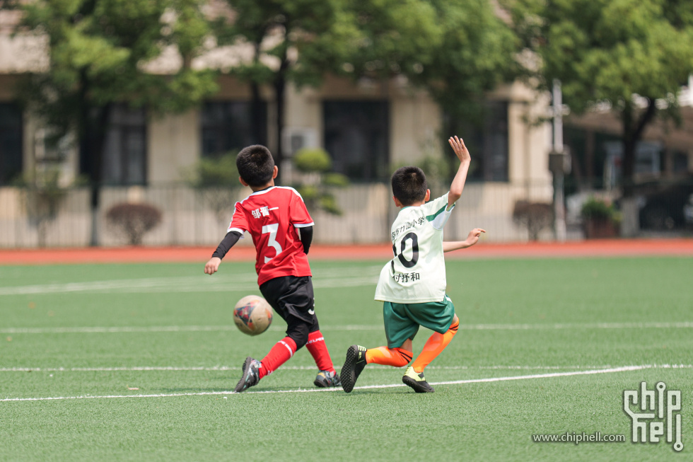 P1940274.jpg