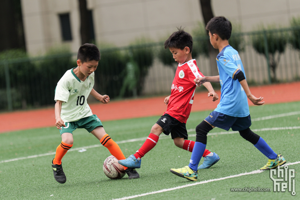 P1940421.jpg