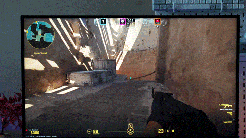 C1025-min.gif