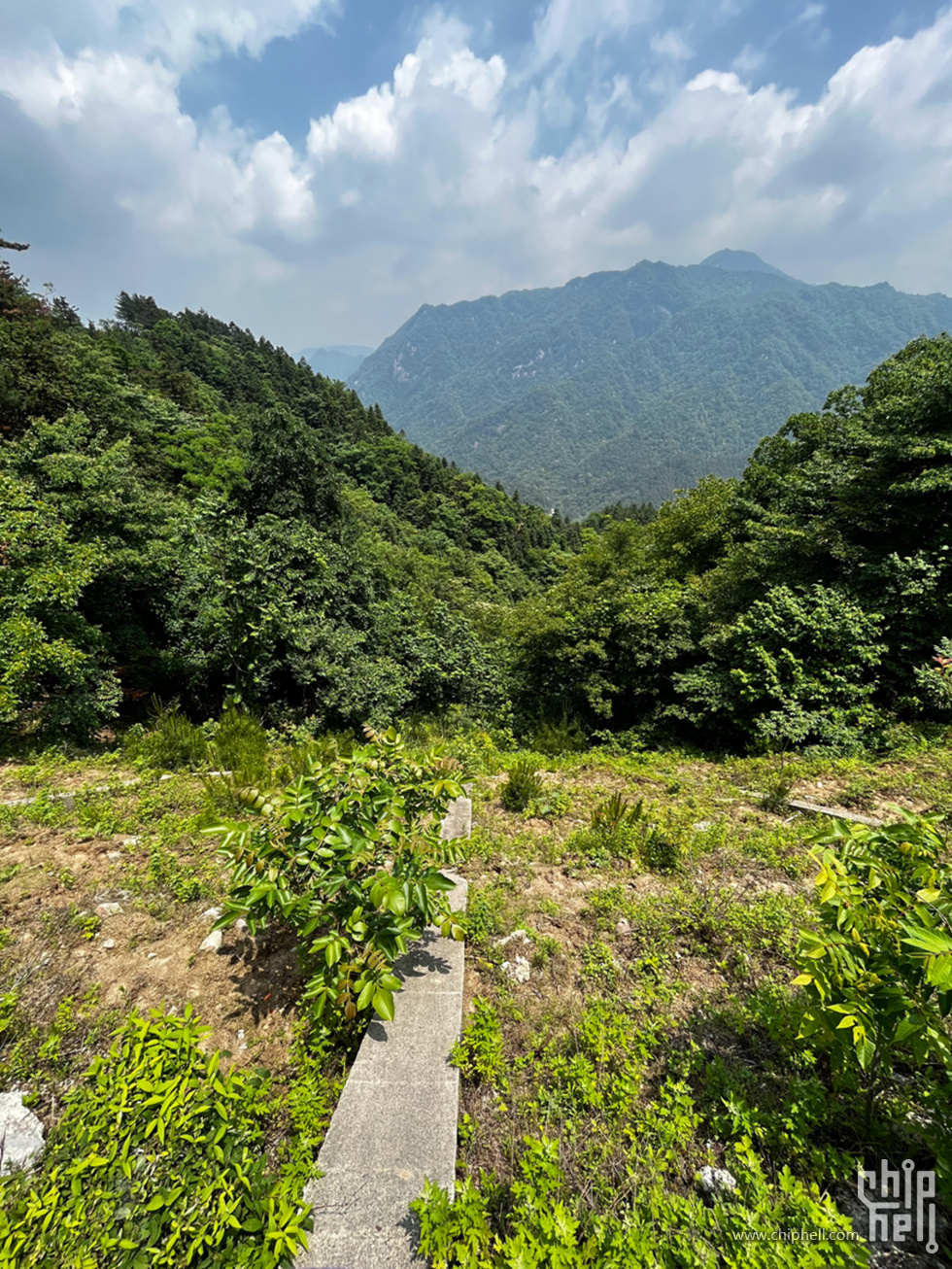 IMG_7831_副本.jpg