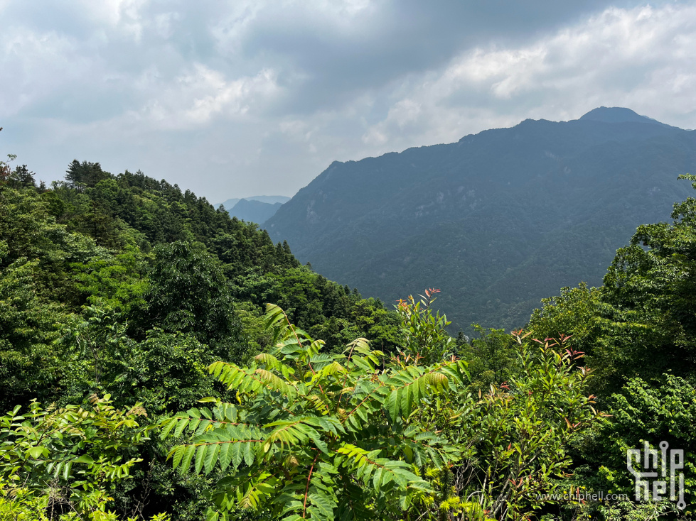 IMG_7827_副本.jpg