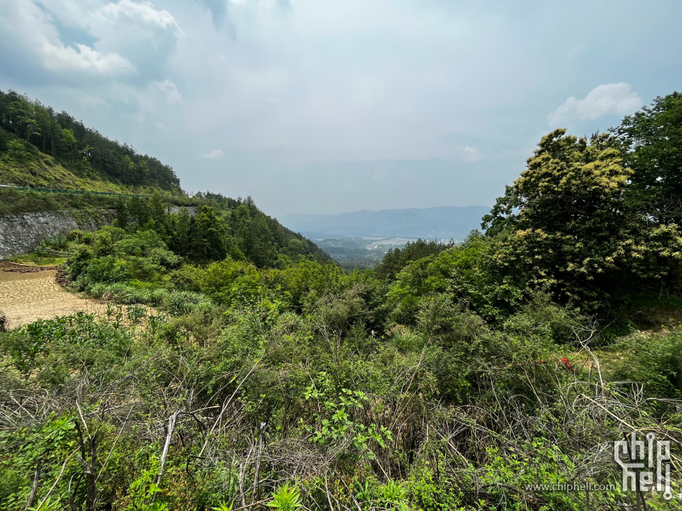 IMG_7895_副本.jpg